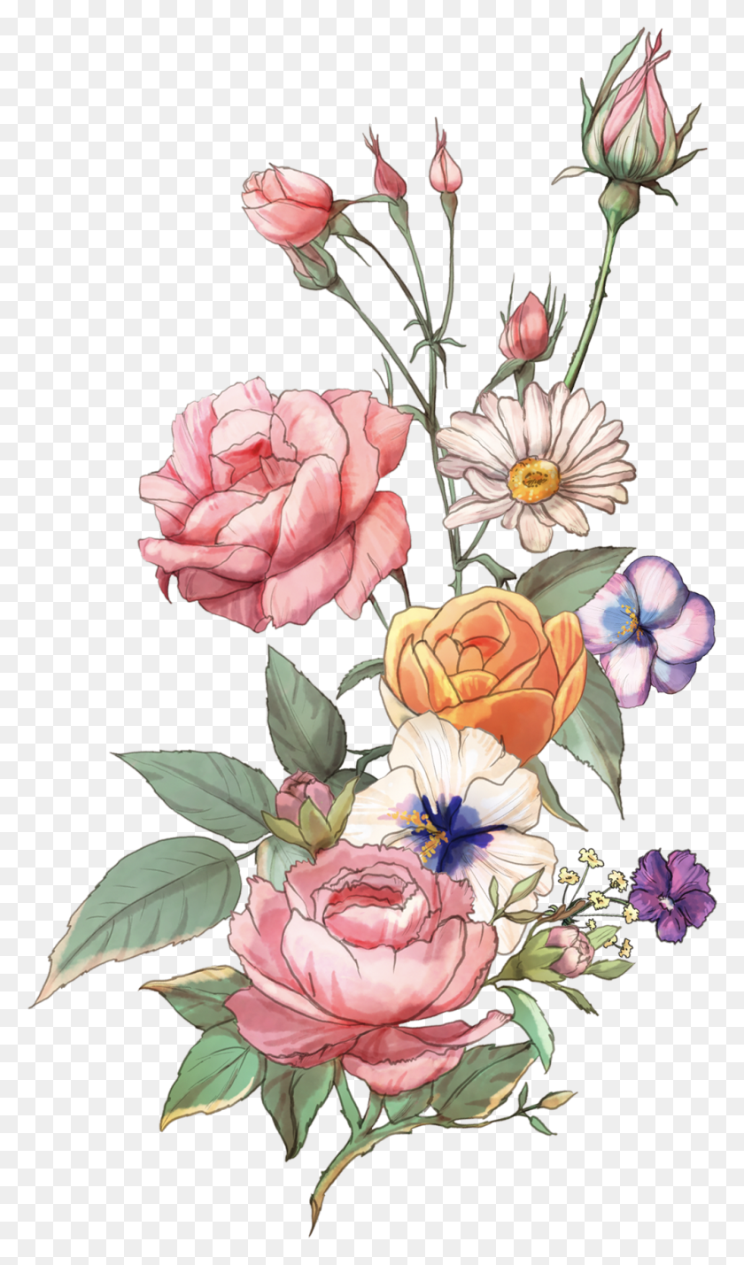 1000x1756 Freeuse Azalea Drawing Rose Tattoo Garden Roses, Графика, Цветочный Дизайн Png Скачать