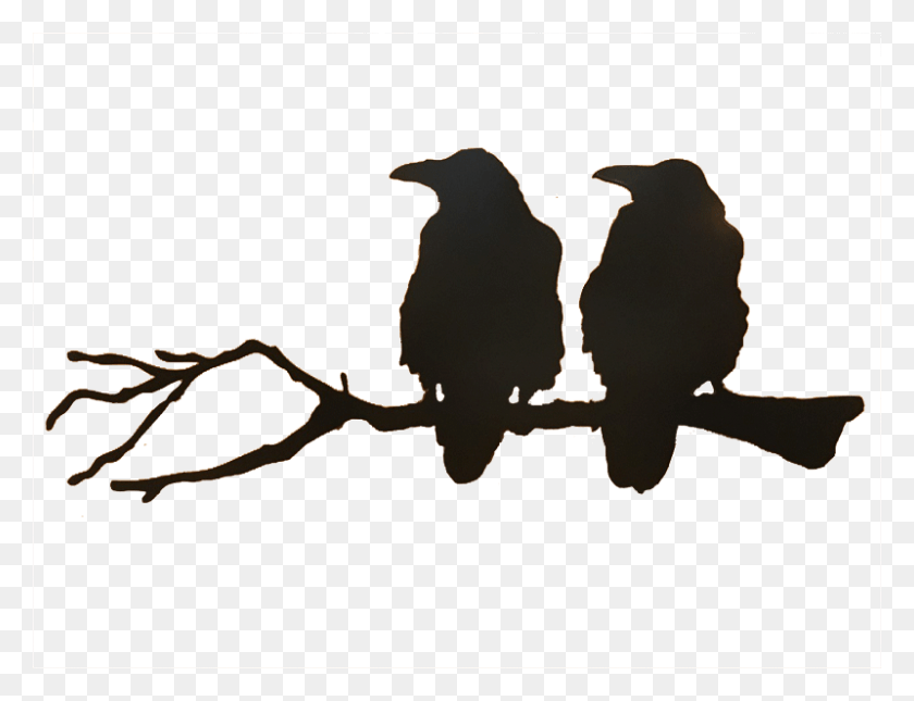 800x600 Freeuse Ravens Silhouette At Getdrawings Crows On A Branch Silhouette, Bird, Animal HD PNG Download