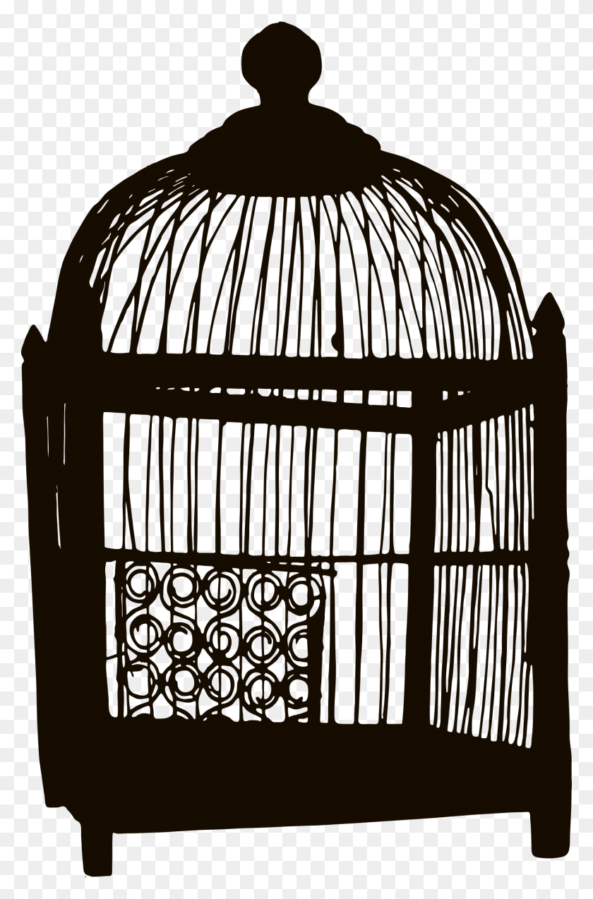 1442x2246 Freeuse Stock Clipart Birdcage Big Image Big Cage, Architecture, Building, Plant HD PNG Download
