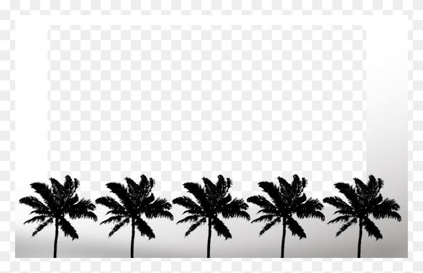 822x510 Freeway Tree Tops To Attalea Speciosa, Palm Tree, Plant, Arecaceae HD PNG Download