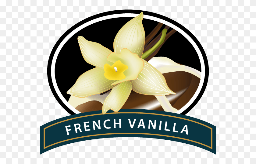 579x480 Логотип Французского Ванильного Кофе, Растение, Цветок, Цветение Hd Png Скачать