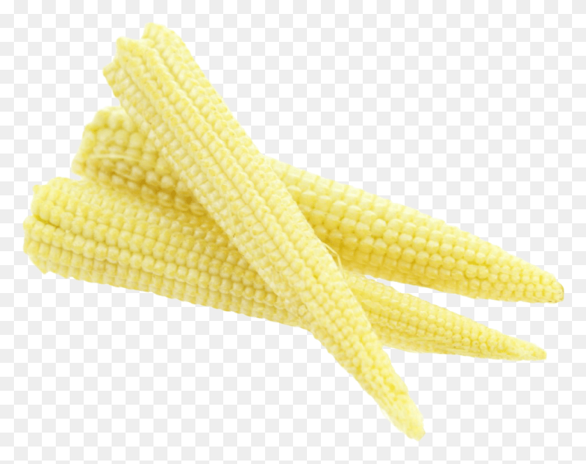 965x749 Fresh Baby Corn Image Baby Corn, Plant, Vegetable, Food HD PNG Download