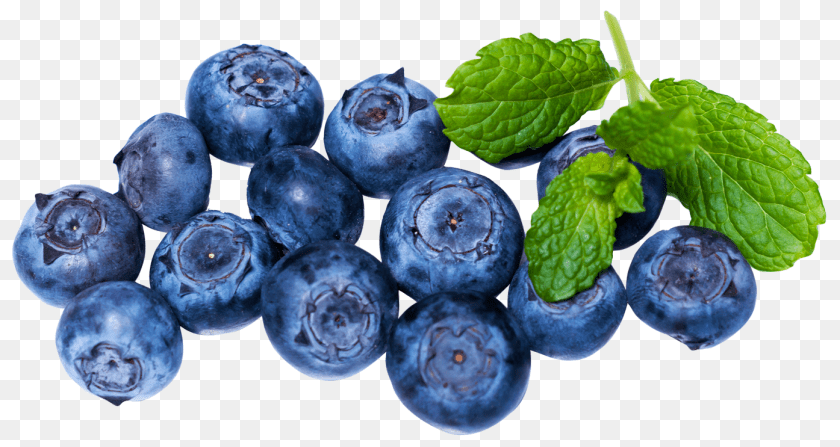 1395x743 Fresh Blueberry Image, Berry, Plant, Produce, Fruit Clipart PNG