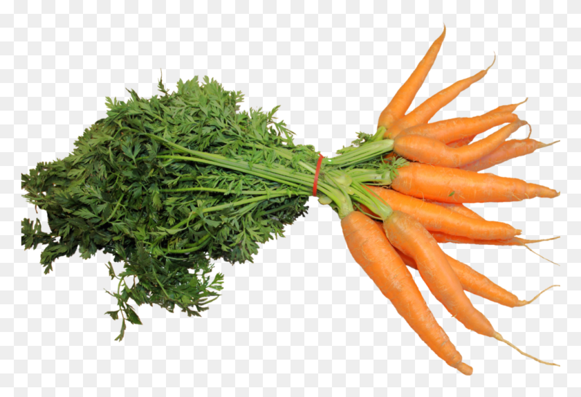 1025x676 Fresh Carrot Image Carrot, Plant, Vegetable, Food HD PNG Download