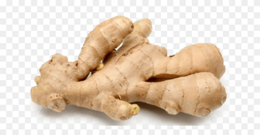 649x378 Fresh Ginger, Plant, Fungus HD PNG Download