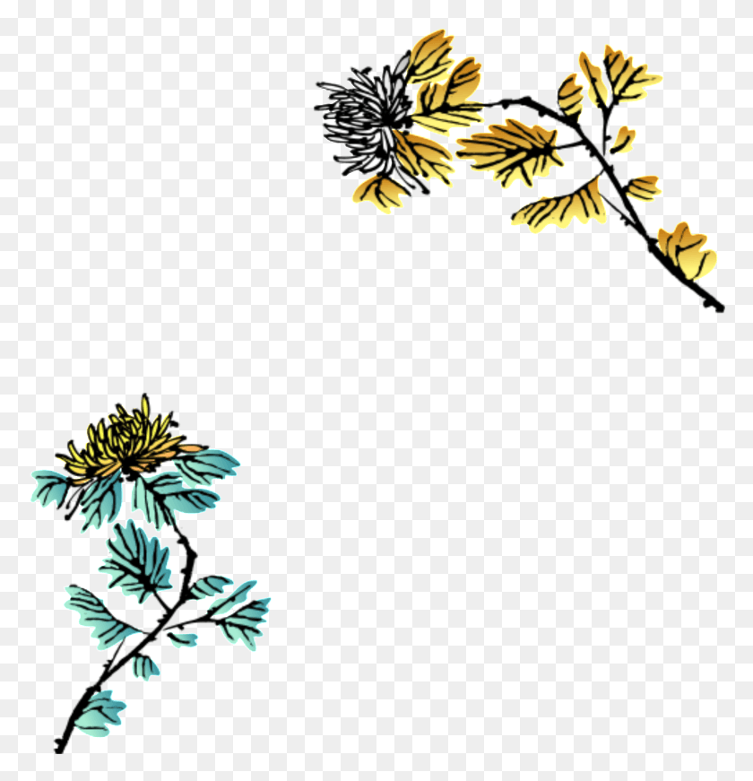 778x811 Fresh Hand Drawn Chrysanthemum Decorative Elements, Insect, Invertebrate, Animal HD PNG Download