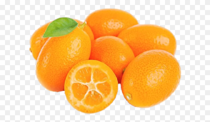 614x427 Fresh Kumquat Kumquat Slice, Citrus Fruit, Fruit, Plant HD PNG Download