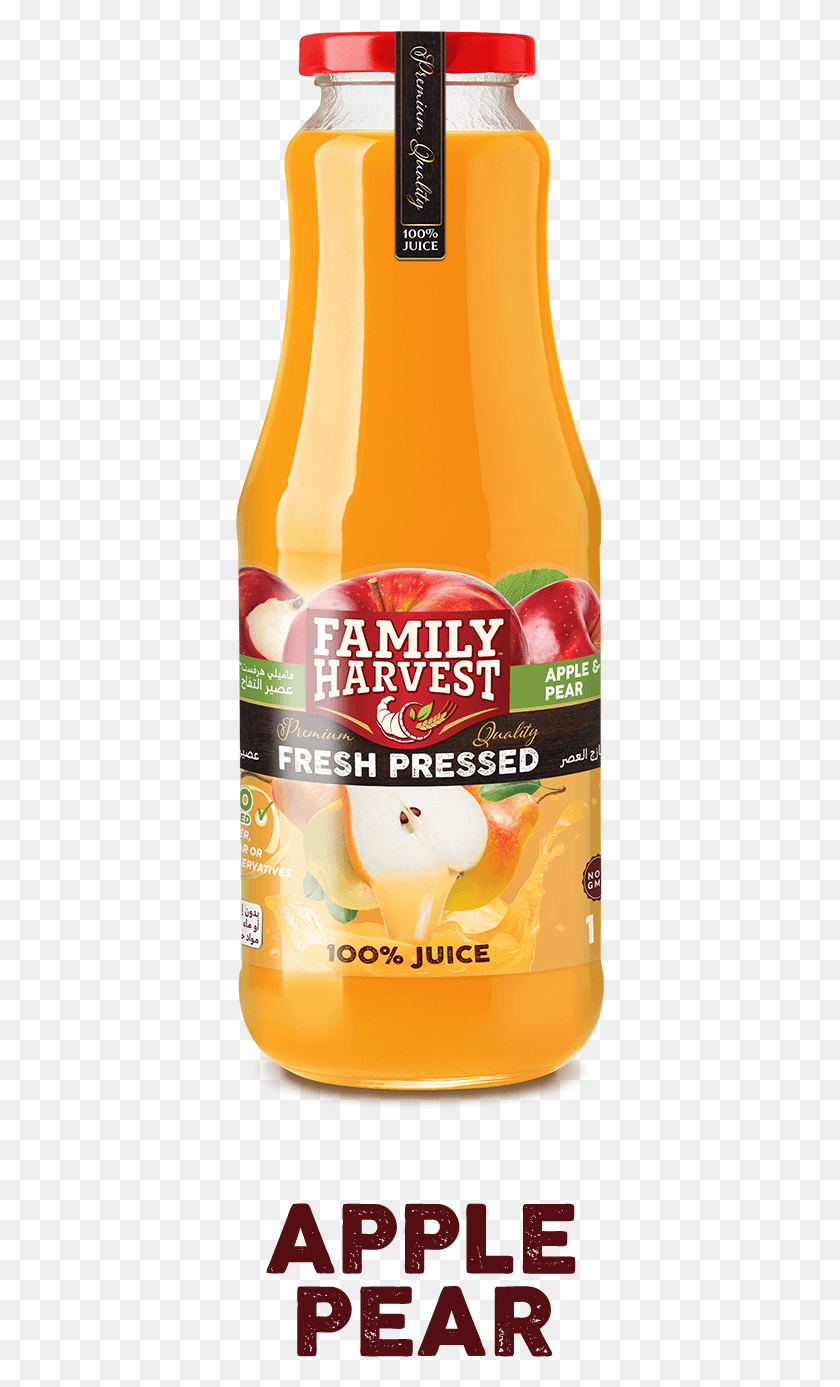 369x1327 Fresh Pressed 100 Juice Orange Drink, Beverage, Plant, Beer HD PNG Download