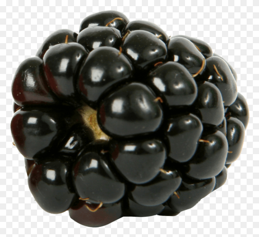 796x724 Fresh Single Blackberry Fruit Images Background Berry, Plant, Food, Toy HD PNG Download
