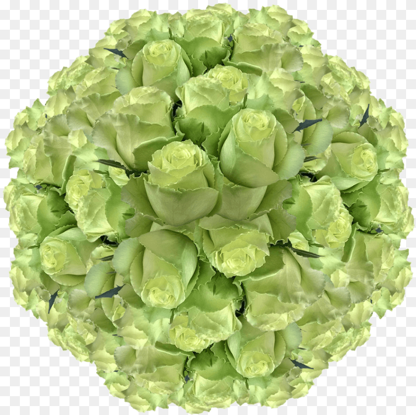 887x885 Fresh Solid Green Roses For Sale Artificial Flower, Art, Floral Design, Graphics, Pattern Transparent PNG