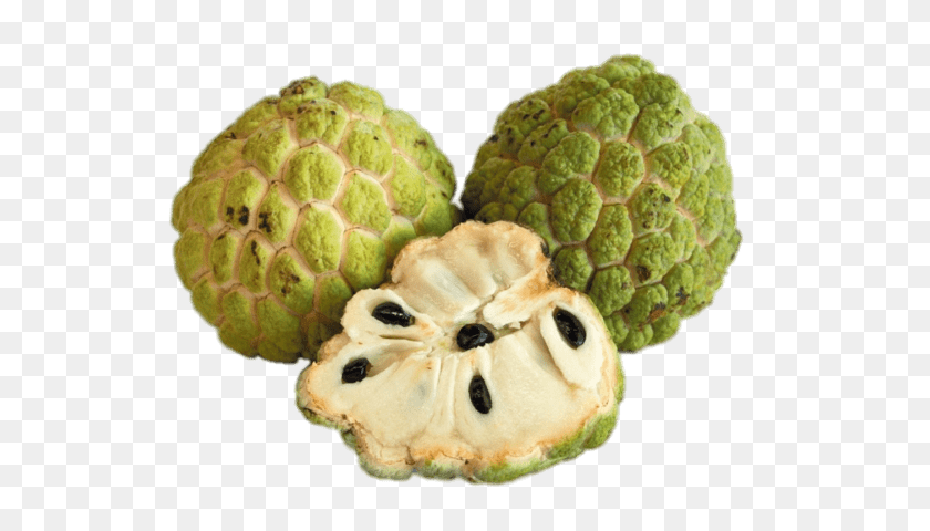 Fresh Sugar Apple, Annonaceae, Plant, Tree, Food Clipart PNG