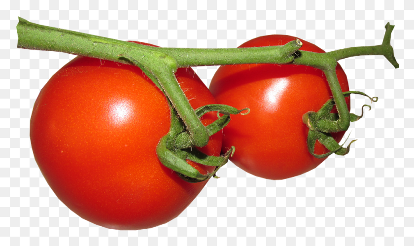 948x534 Fresh Tomato Free Image, Plant, Vegetable, Food HD PNG Download