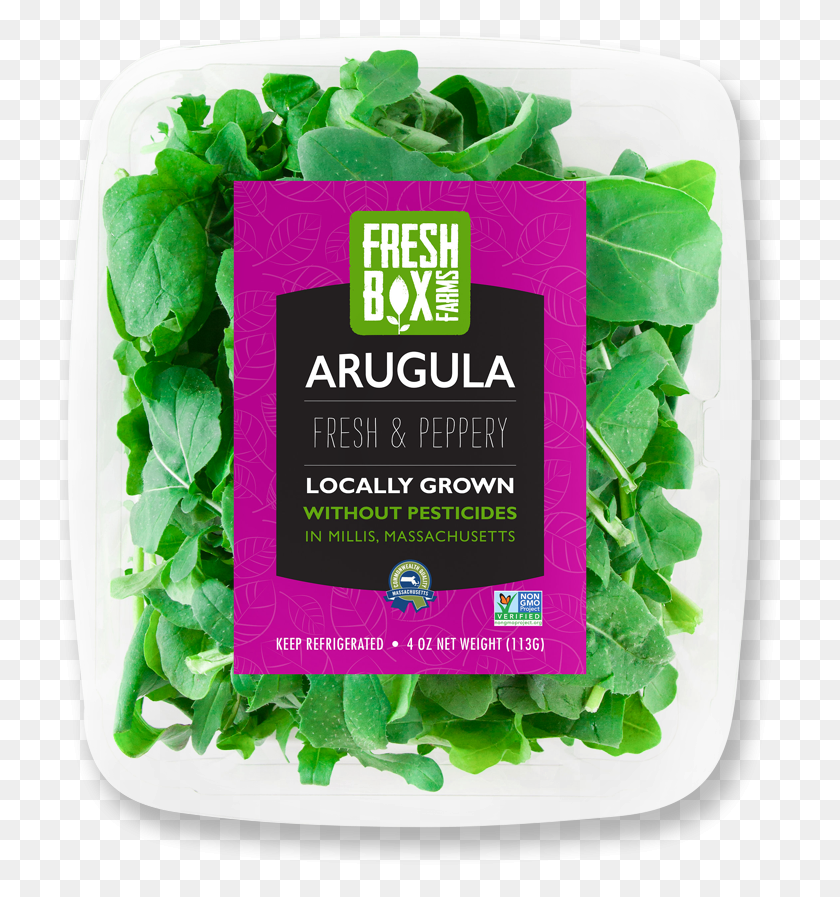 729x837 Freshbox Arugula Arugula Grow Hydroponic, Plant, Vegetable, Food HD PNG Download