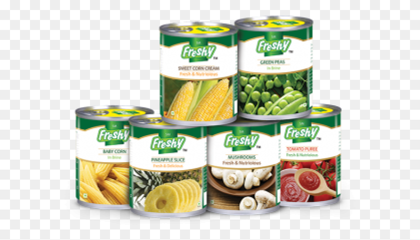 583x421 Descargar Png Alimentos Enlatados Freshy Alimentos Envasados, Planta, Vegetales, Productos Enlatados Hd Png