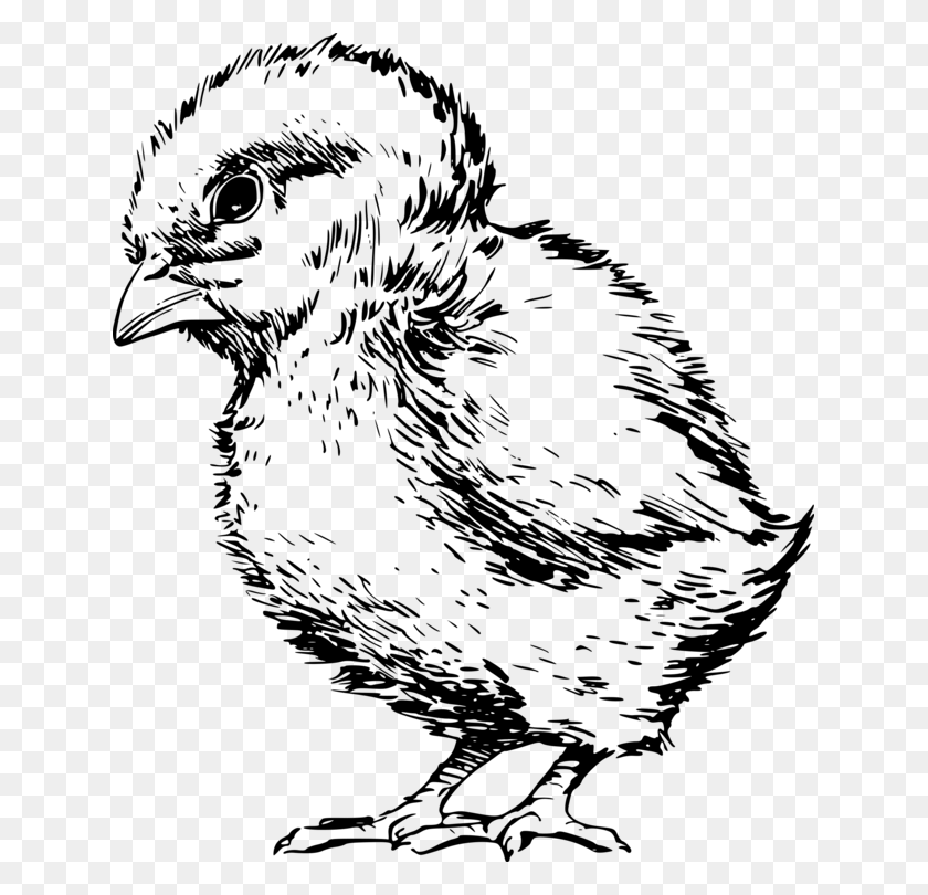 635x750 Fried Chicken Broiler Chicken As Food Drawing Baby Chicken, Gray, World Of Warcraft HD PNG Download