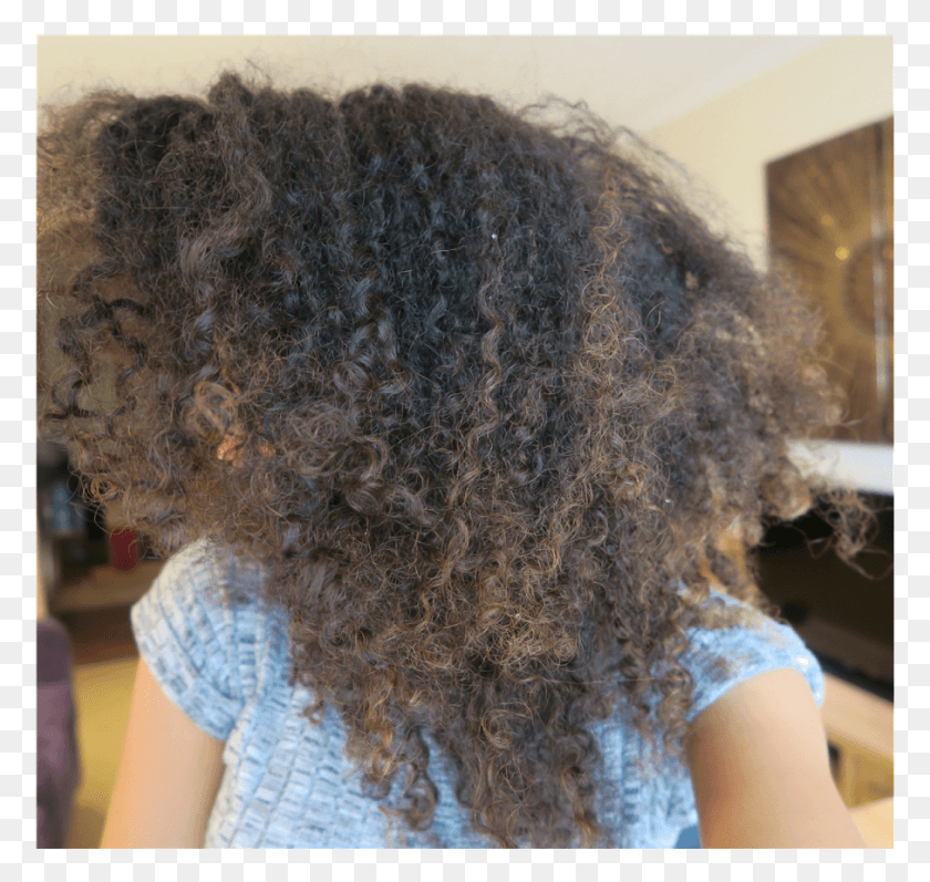 906x857 Frizzy Hair The Cuticle Layer Of Your Hair Is Raised Afro, Person, Human, Teddy Bear HD PNG Download