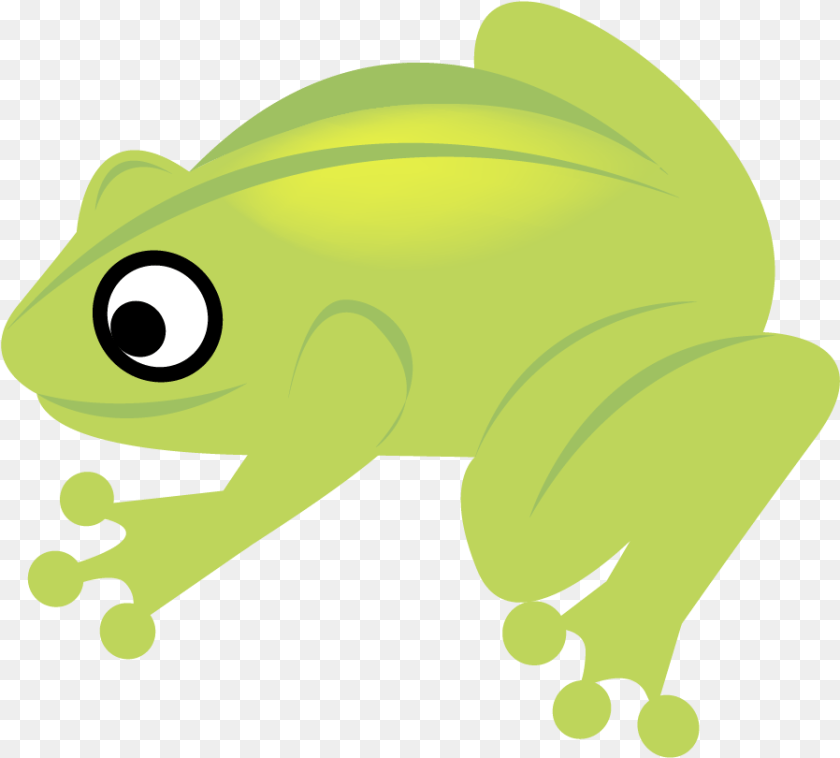 898x810 Frog, Amphibian, Animal, Wildlife Sticker PNG