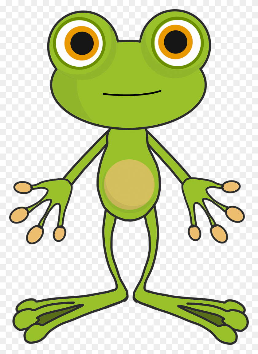 913x1280 Frog Cartoon Frog Cartoon, Amphibian, Wildlife, Animal HD PNG Download