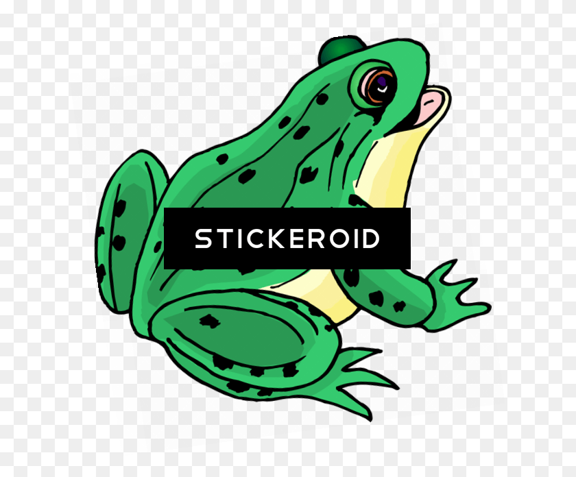 635x636 Frog Clip Art Frog Clipart, Amphibian, Wildlife, Animal HD PNG Download