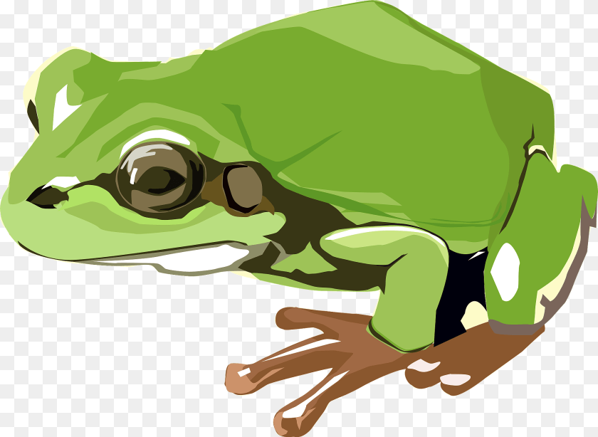 1920x1403 Frog Clipart, Amphibian, Animal, Wildlife, Tree Frog PNG