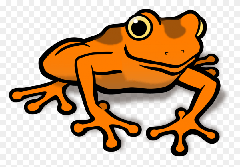 900x607 Frog Clipart Orange Clip Art Orange Frog, Wildlife, Animal, Amphibian HD PNG Download