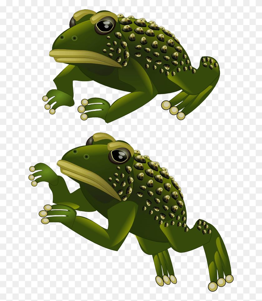 658x904 Frog Frog 2d, Toy, Amphibian, Wildlife HD PNG Download