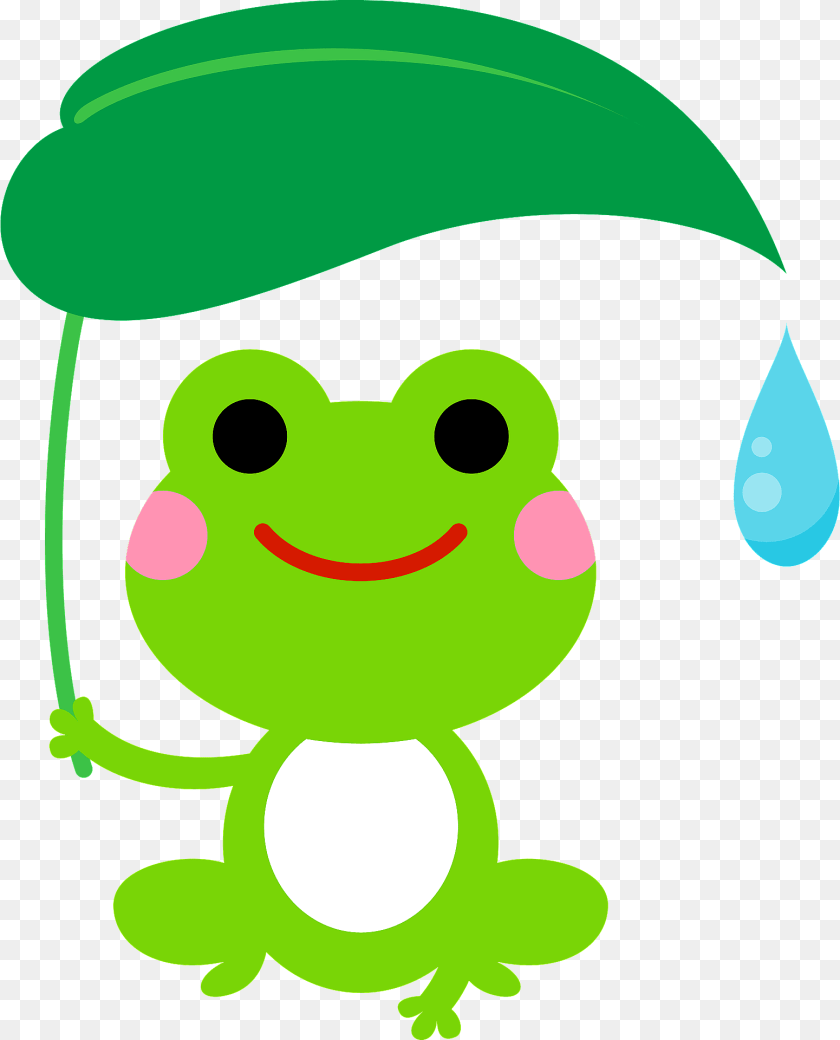 Frog Holding A Leaf Over Its Head Clipart, Green, Amphibian, Animal, Wildlife Sticker PNG