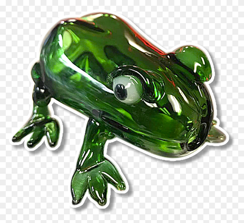 1557x1418 Frog Pipe The Crush, Amphibian, Wildlife, Animal HD PNG Download
