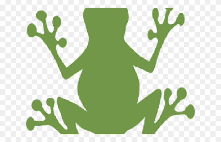 640x480 Frog Symbol, Amphibian, Wildlife, Animal HD PNG Download