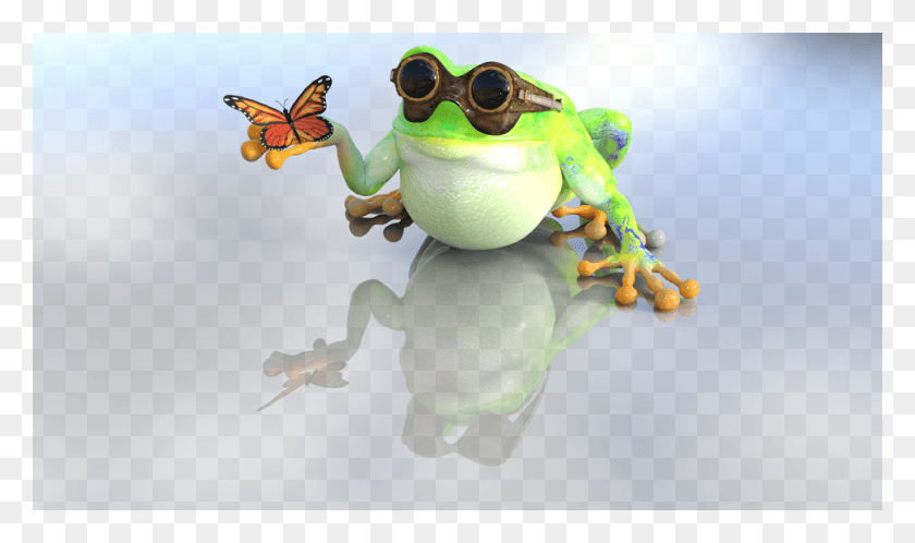 960x540 Frog Toad Nature Butterfly Una Mariposa Con Un Sapo, Amphibian, Wildlife, Animal HD PNG Download