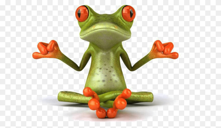 Frog Image Zen Frog, Amphibian, Animal, Wildlife, Dinosaur Transparent PNG