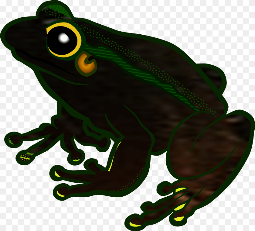 Frogs Clipart Clear Background Frog Clip Art, Amphibian, Animal, Wildlife Transparent PNG
