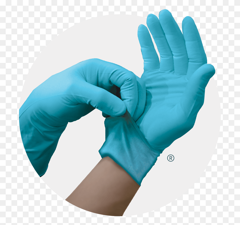 709x727 Frontline Fl9 Powder Free Nitrile Exam Gloves Glove, Hand, Person, Human HD PNG Download