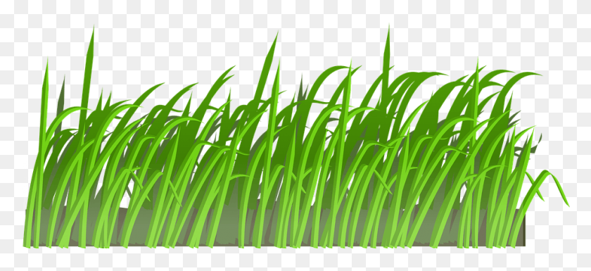 960x401 Frost Clipart Grass Gras Cartoon, Plant, Lawn, Green HD PNG Download