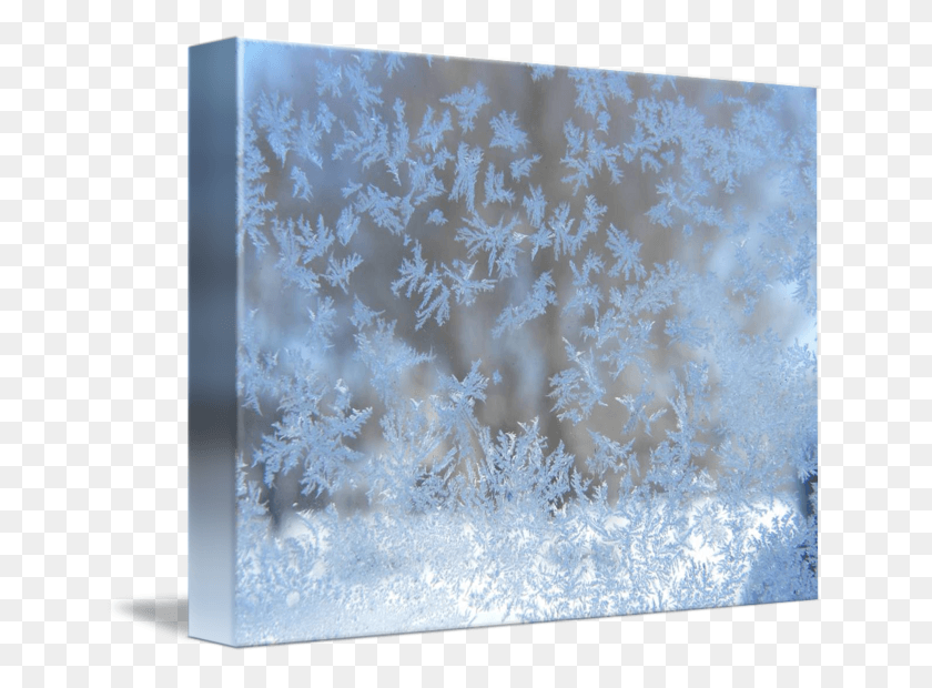 650x560 Frost On A Window, Nature, Outdoors, Ice HD PNG Download