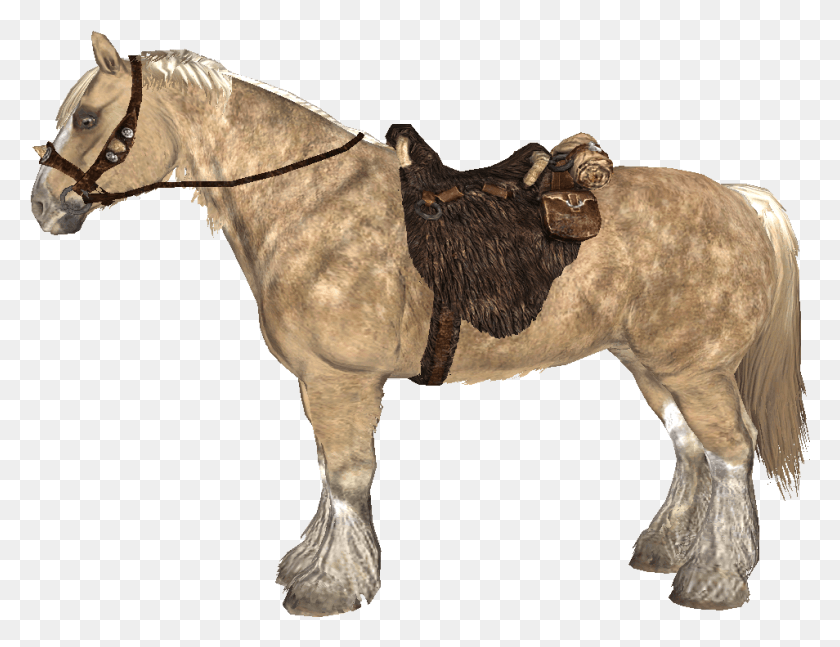 954x718 Frost Skyrim Horse Transparent, Mammal, Animal, Bull HD PNG Download