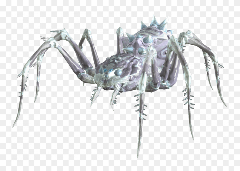 1200x828 Frost Spider, Invertebrate, Animal, Insect HD PNG Download