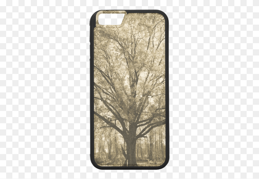 261x521 Frost Texture, Tree, Plant, Oak HD PNG Download