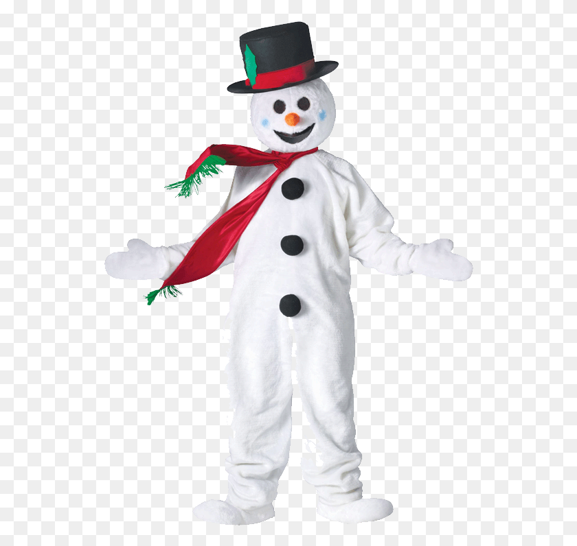 539x736 Frosty The Snowman Costume Snowman, Outdoors, Nature, Person HD PNG Download