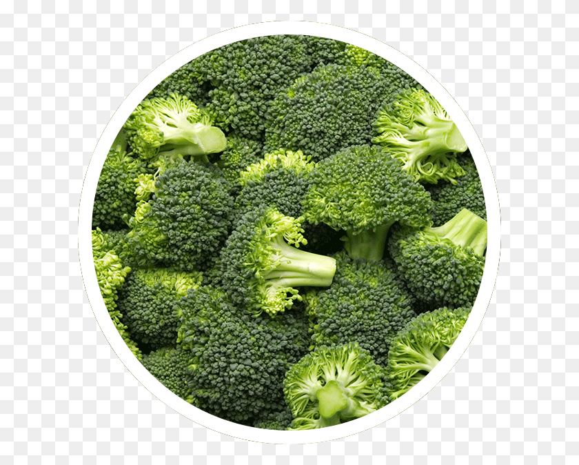 614x614 Frozen Broccoli Broccoli Field, Plant, Vegetable, Food HD PNG Download