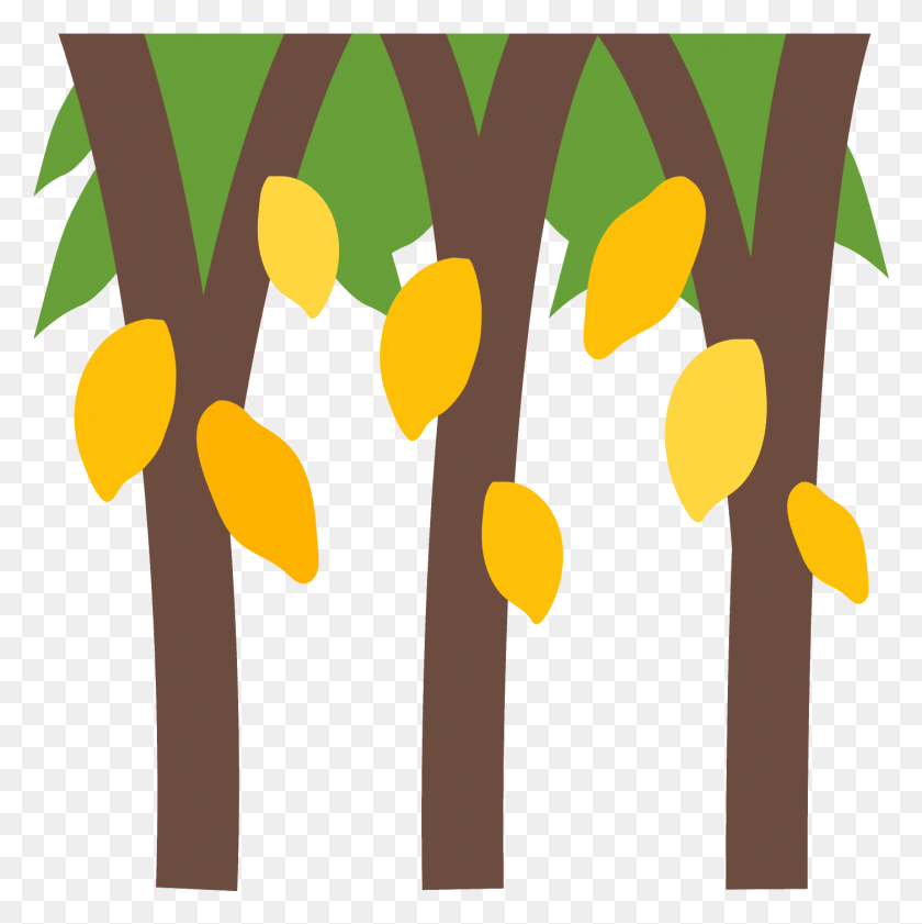 1401x1404 Fruta Png / Fruta En Los Árboles Png