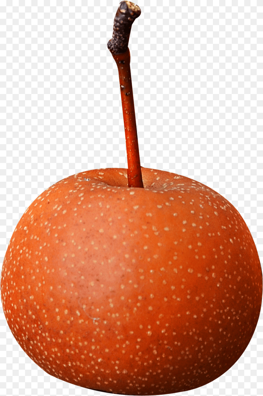 942x1418 Fruit Stem, Apple, Food, Plant, Produce Sticker PNG