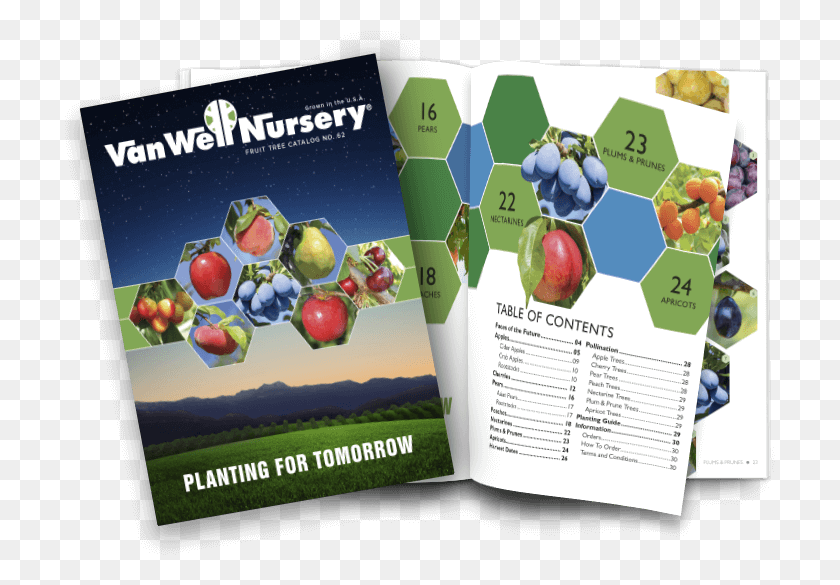 711x525 Fruit Tree Catalog No Flyer, Poster, Advertisement, Paper HD PNG Download