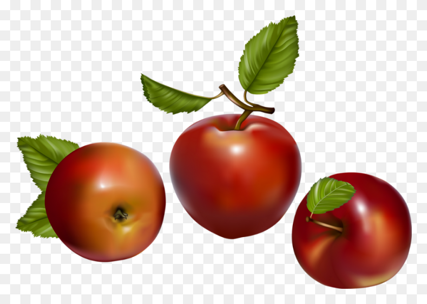 940x650 Fruit Vector, Plant, Food, Cherry HD PNG Download