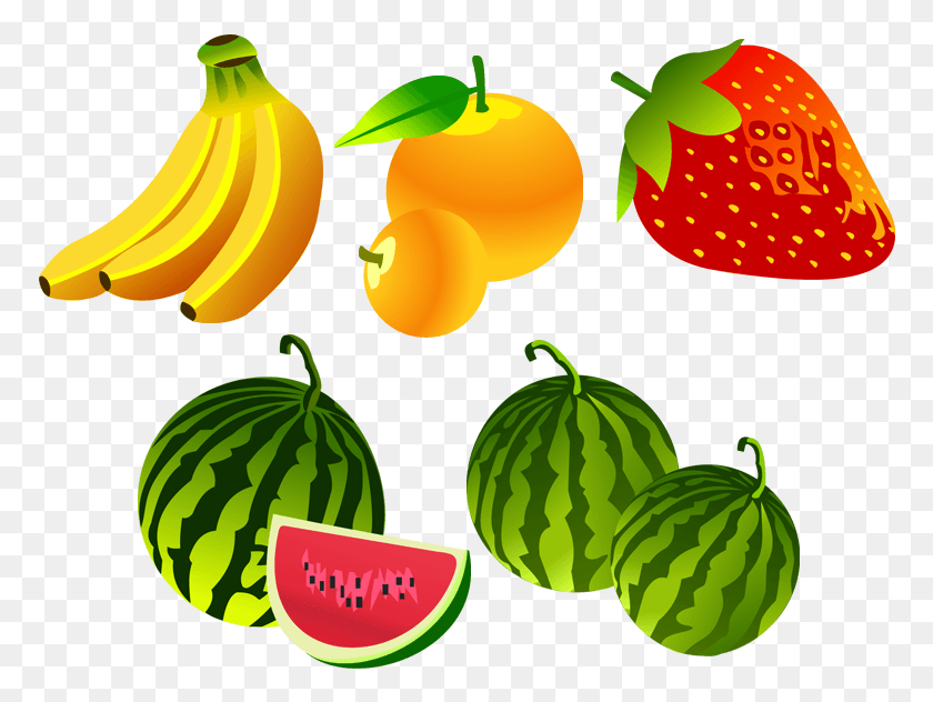 772x572 Fruit Vector Free, Plant, Food, Watermelon HD PNG Download