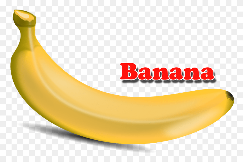 1234x793 Fruits Banana With Name, Fruit, Plant, Food HD PNG Download