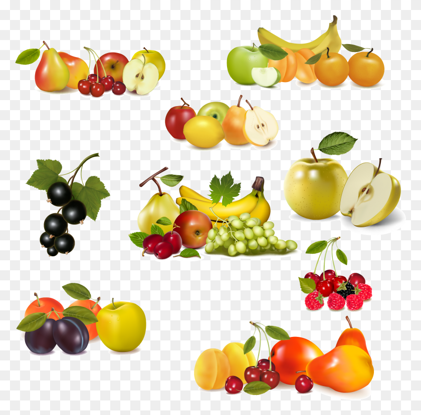 2257x2227 Fruits Vector Borders, Plant, Fruit, Food HD PNG Download