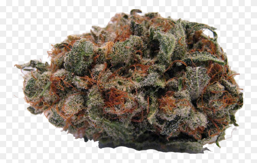 750x472 Fruity Pebble Nug Fruity Pebbles Kush, Plant, Moss, Weed HD PNG Download