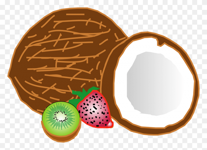 960x675 Frutas Tropicales De Coco Kiwi Fresco Saludable Cartoon Coconuts, Plant, Fruit, Food Hd Png Скачать