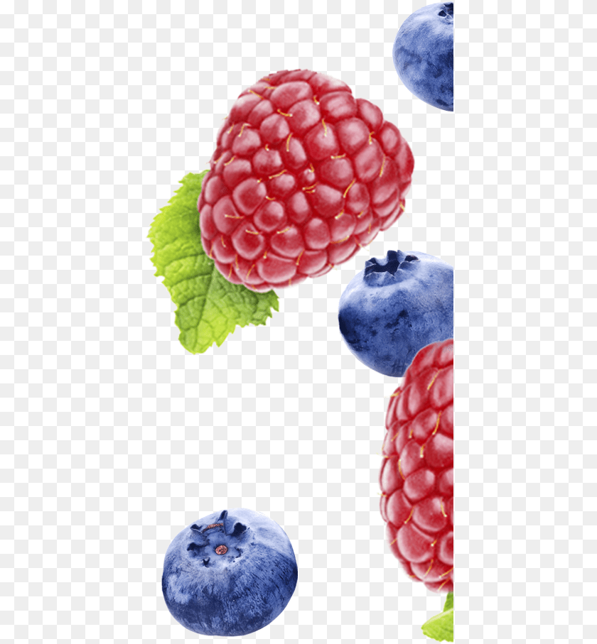 436x907 Frutti Di Bosco, Raspberry, Berry, Blueberry, Food Sticker PNG